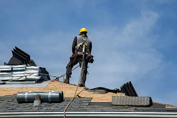 Professional Roofing technician working in Palmyra, WI